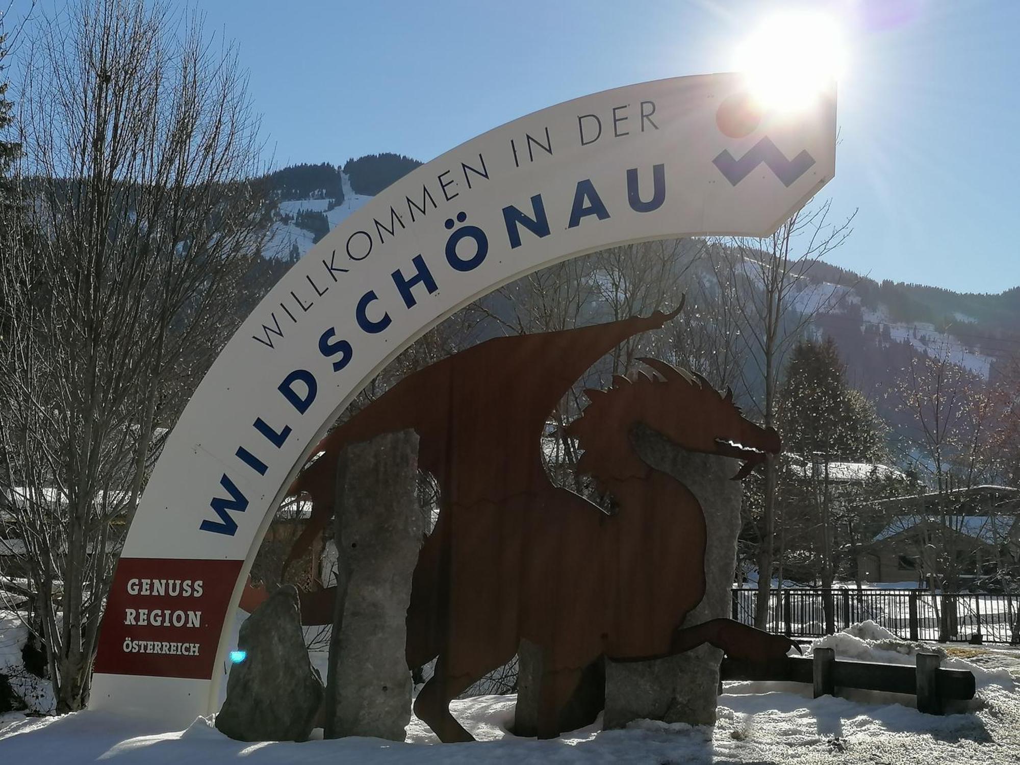 Ferienwohnung Sonnhangblick Von Fewo-Plan Wild015 Нідерау Екстер'єр фото